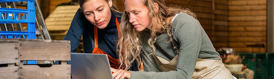 Online Banking Firmenkunden Volksbank Raiffeisenbank Nordoberpfalz Eg